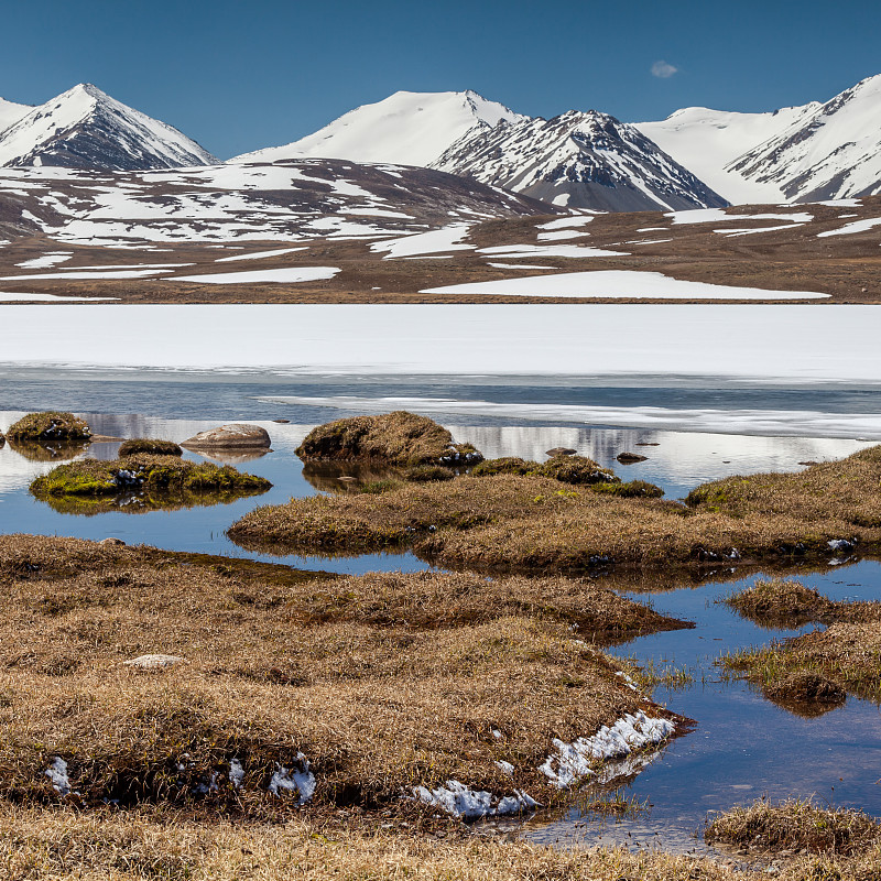 伊塞克湖,水,美,山,雪,旅行者,夏天,石材,湖,草