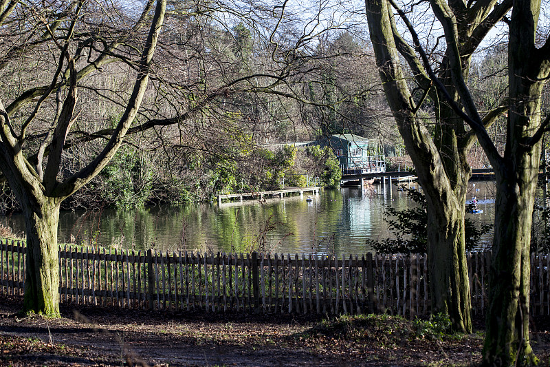 汉普特斯西斯公园,春天,池塘,伦敦,浴盆,核对时间,水平画幅,林区,无人,英国