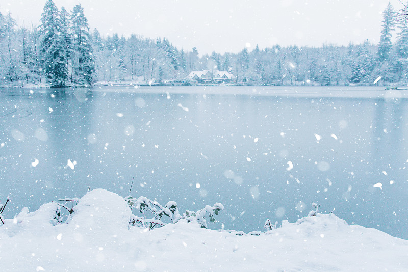 雪,湖,森林,俄国郊外别墅,水,天空,夜晚,光,居住区,白色
