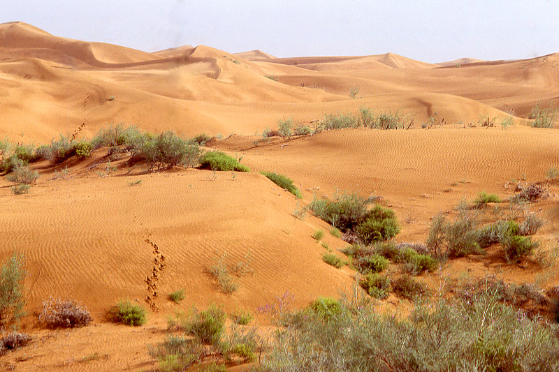 宁夏回族自治区,沙丘,沙漠,中国,黄河,1979,风土流程,八月,铁轨轨道,沙子