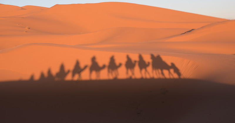 骆驼,摩洛哥,沙漠,东,水平画幅,沙子,莫鲁加,贝多因人,埃及,夏天