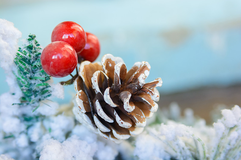 冬青树,浆果,松果,圣诞装饰,美,新的,水平画幅,榭寄生,传统
