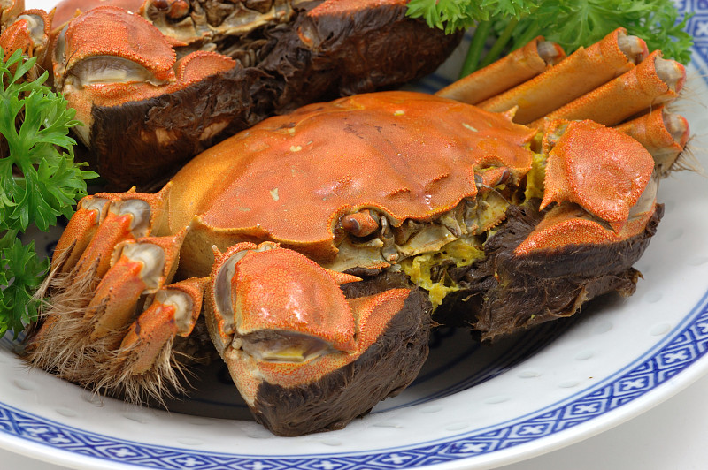 上海,蒸菜,螃蟹,饮食,水平画幅,连指手套,海产,湖,特写