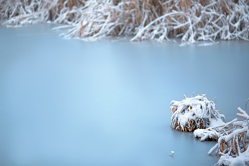 雪,湖,宁静,冻结的,安静,水,卡累利阿共和国,水平画幅,无人,户外