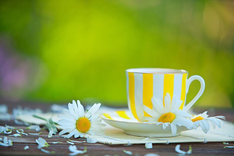 杯,绿茶,桌子,芳香的,水平画幅,无人,洋甘菊茶,热饮,甘菊花