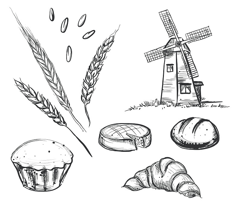 绘画插图,古老的,面包,磨坊,矢量,手,人的耳朵,小麦,草图,数字8