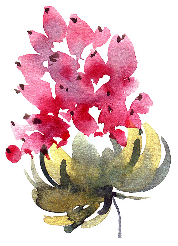 花序,扫帚,水墨画