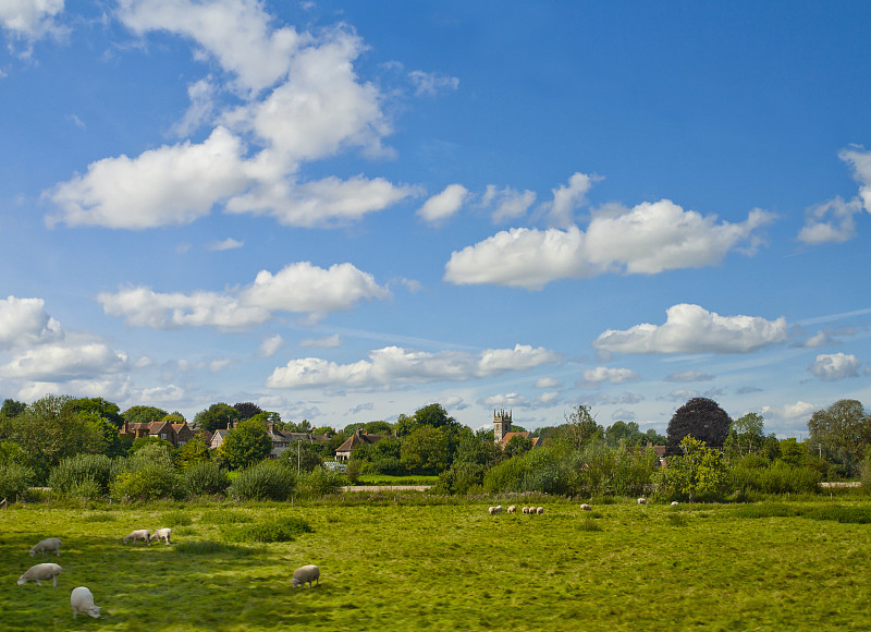 英格兰,科茨沃尔德,,地形,乡村,中南,天空,水平画幅,无人,科茨沃尔德绵羊,草坪