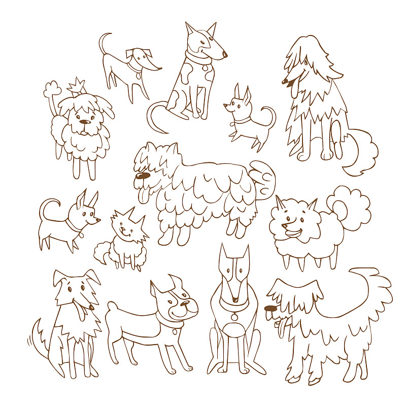 可爱的,狗,矢量,小的,家畜,无人,绘画插图,小狗,牛头梗,方形画幅