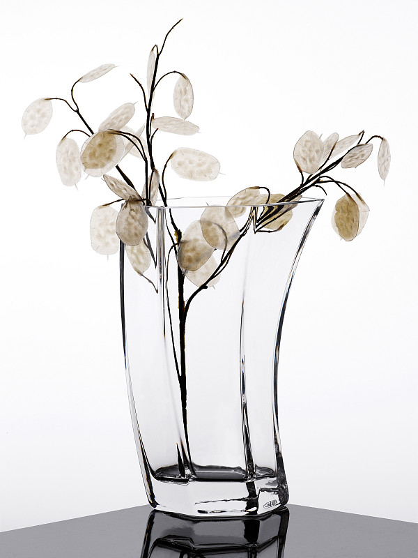 华丽的,玻璃,花瓶,垂直画幅,新的,乡村风格,明亮,现代,白色,容器