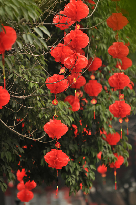 中国灯笼,成都,低的,四川省,中国元宵节,纸灯笼,灯笼,悬挂的,手艺,田园风光