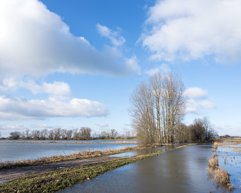 砍彭,荷兰,河流,河漫滩,兹沃勒,在之间,水,气候,水平画幅,无人
