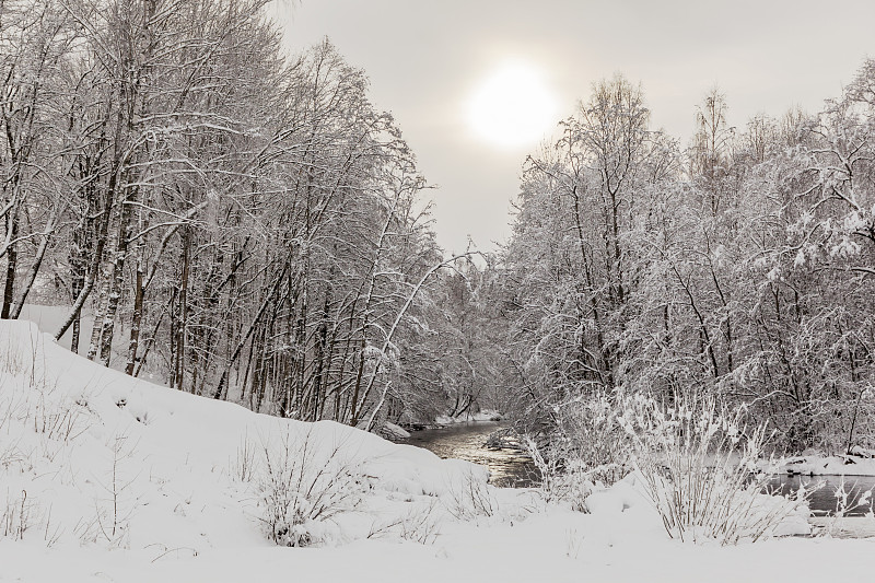 雪,冬天,河流,休闲活动,水平画幅,户外,云杉,斯堪的纳维亚半岛,松科,松林
