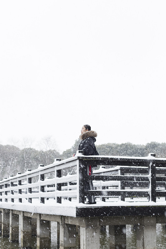 雪,桥,仅一个女人,木制,宁静,垂直画幅,水,天空,美,公园