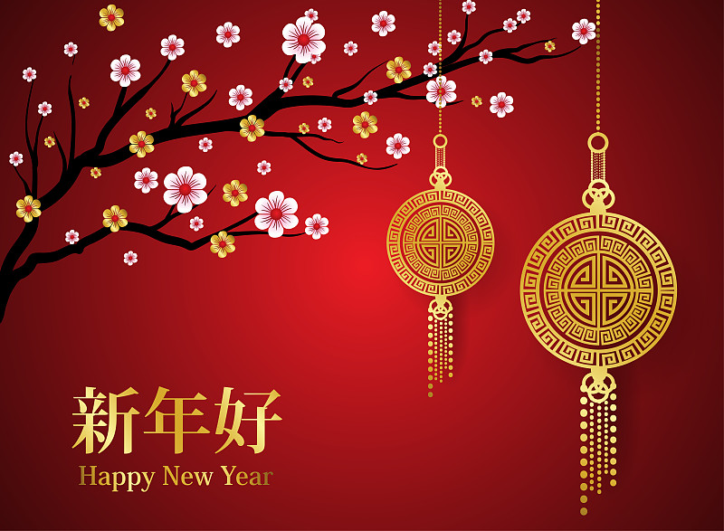 灯笼,绘画插图,矢量,红色,亚洲,背景,樱之花,背景幕,明亮,花