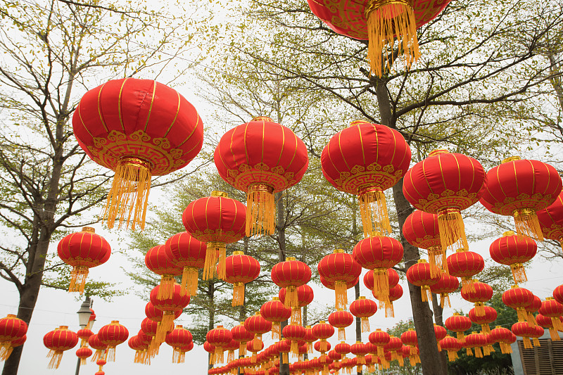 灯笼,春节,红色,公园,广东省,中国元宵节,深圳,中国灯笼,悬挂的,水平画幅