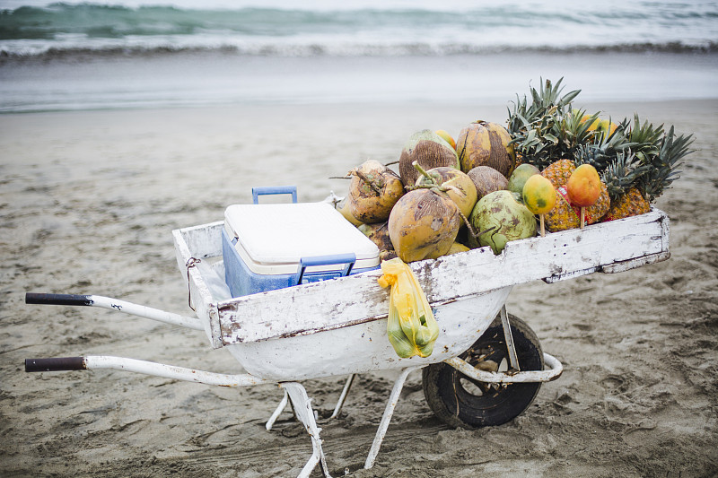 海滩,独轮手推车,热带水果,水,水平画幅,沙子,素食,无人,椰子,户外