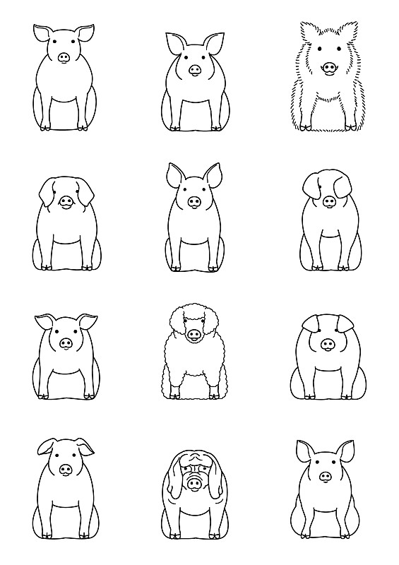 猪,多样,垂直画幅,正面视角,家猪,绘画插图,爪子,性格,动物身体部位,杜洛克猪
