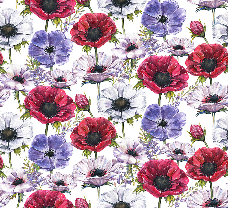 花纹,银莲花,水彩画,自然美,动物手,自然,美,式样,水平画幅,纺织品
