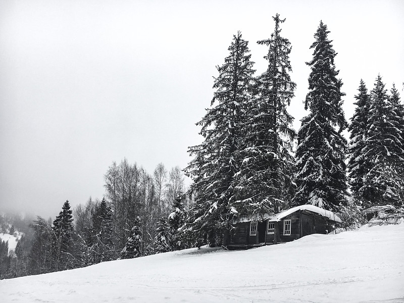 雪,古老的,被抛弃的,冬天,林务官,地形,小屋,乌克兰,房屋,森林