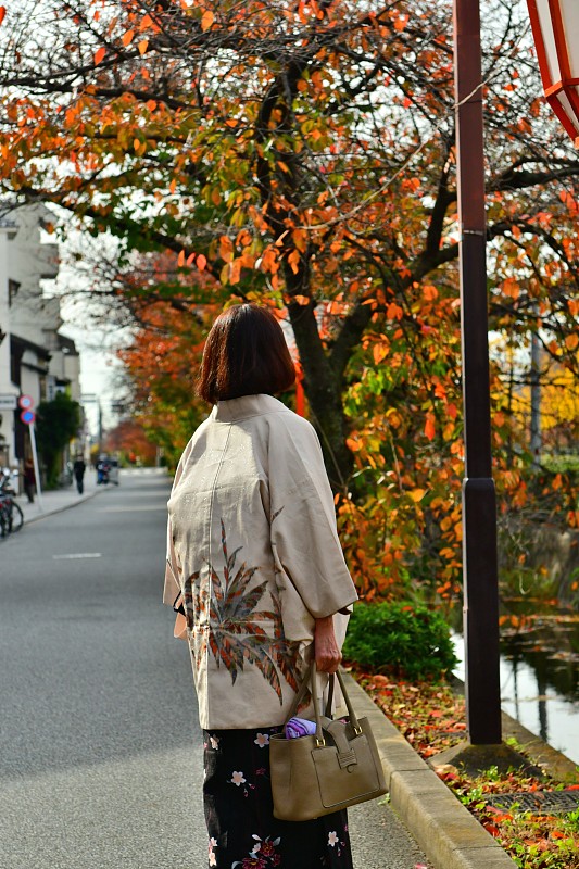 鸭川,和服,京都府,日本人,河岸,女人,木屐,日本式短袜,和服腰带,外套大衣