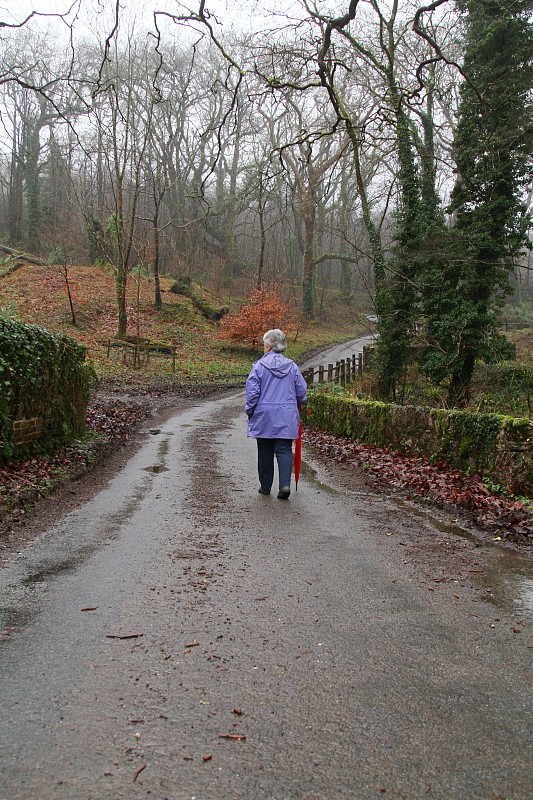 老年女人,乡村路,80到89岁,雨,仅一个老年女人,永远年轻,背面视角,简单生活,垂直画幅,休闲活动
