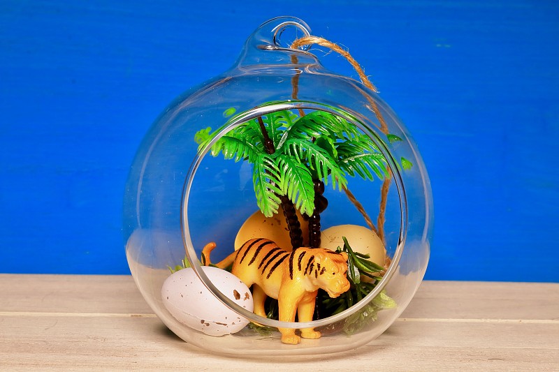 动物,玻璃缸,草原,水平画幅,无人,日本,玻璃,棕榈树,虎,华丽的