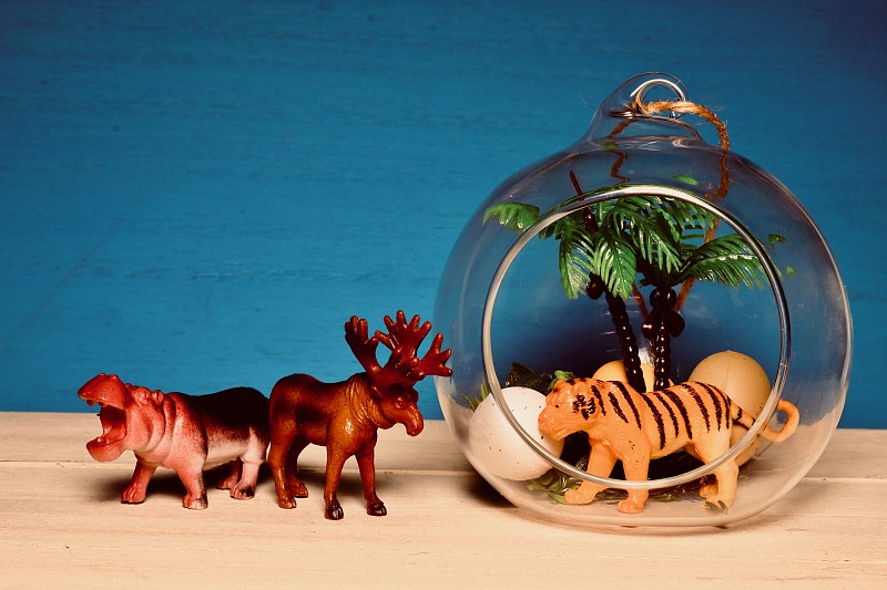 动物,玻璃缸,草原,水平画幅,无人,日本,玻璃,棕榈树,虎,华丽的