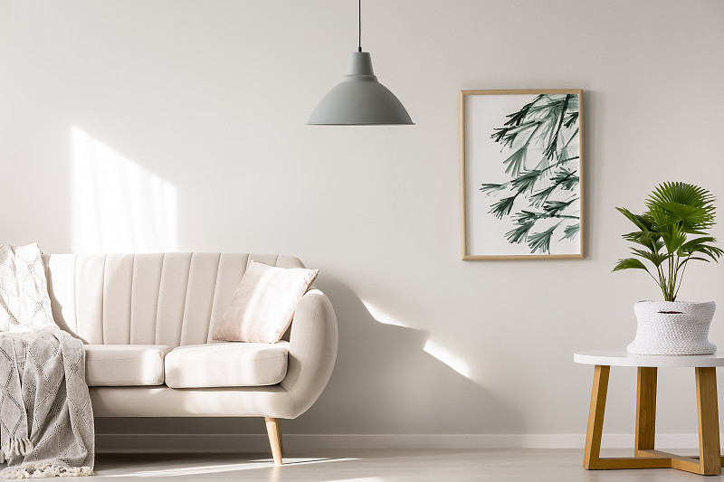 棕榈树,起居室,极简构图,边框,水平画幅,银色,家庭生活,灯,篮子,家具