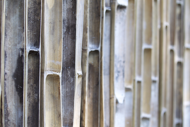 篱笆,水平画幅,树篱,无人,栅栏,木材,桶,围栏,泰国,栏杆
