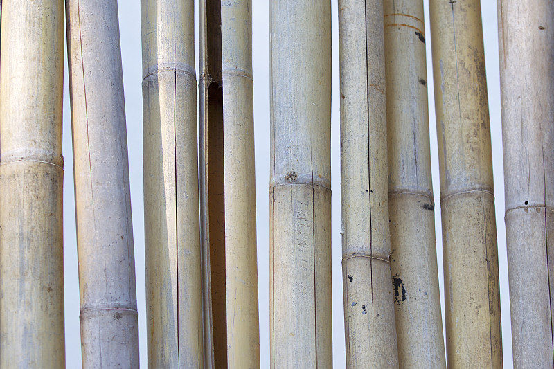 篱笆,水平画幅,树篱,无人,栅栏,木材,桶,围栏,泰国,栏杆