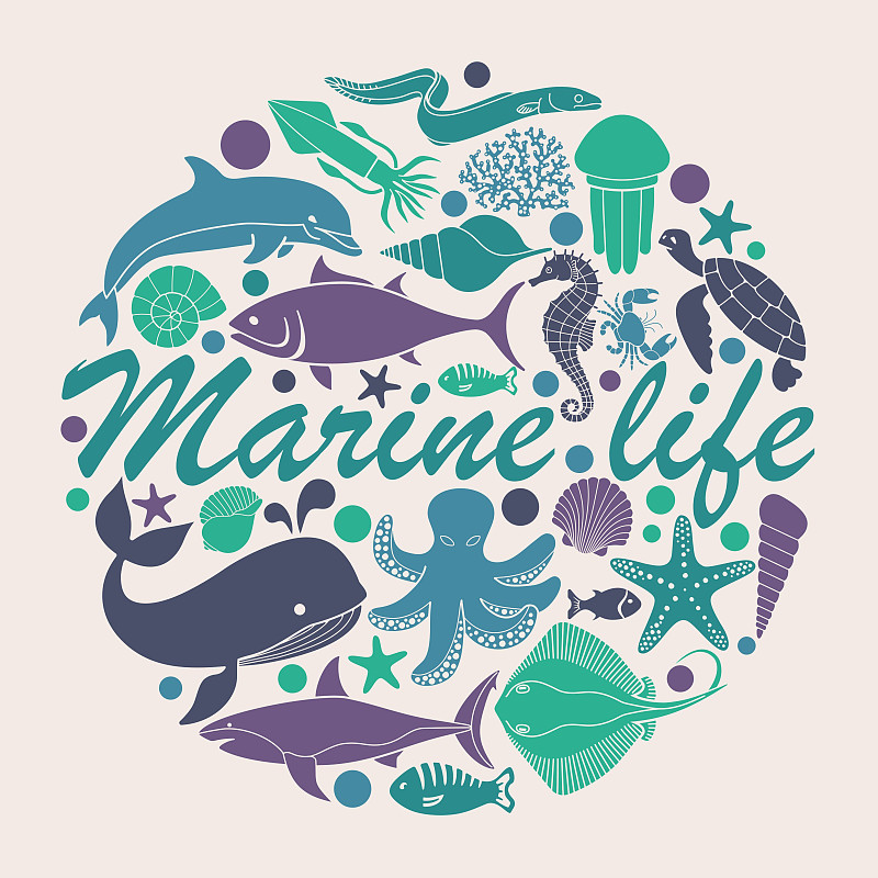 圆形,海洋生命,计算机图标,表格,海葵,贝壳,软体动物,海马,绘画插图,符号