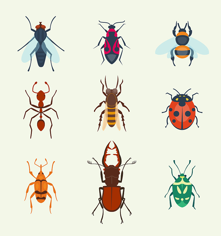 绘画插图,两翼昆虫,风景,矢量,翅膀,计算机图标,昆虫,野生动物,多色的,上装