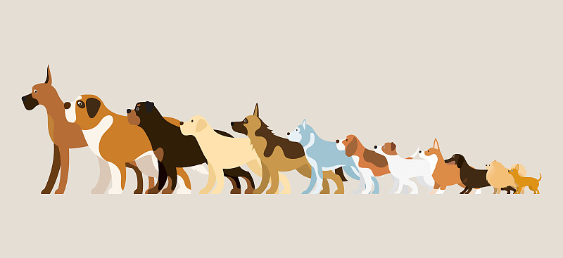 绘画插图,狗,动物群,杰克拉瑟短腿犬,水平画幅,巨大的,圣伯纳犬,卡通,泰国,德国牧羊犬