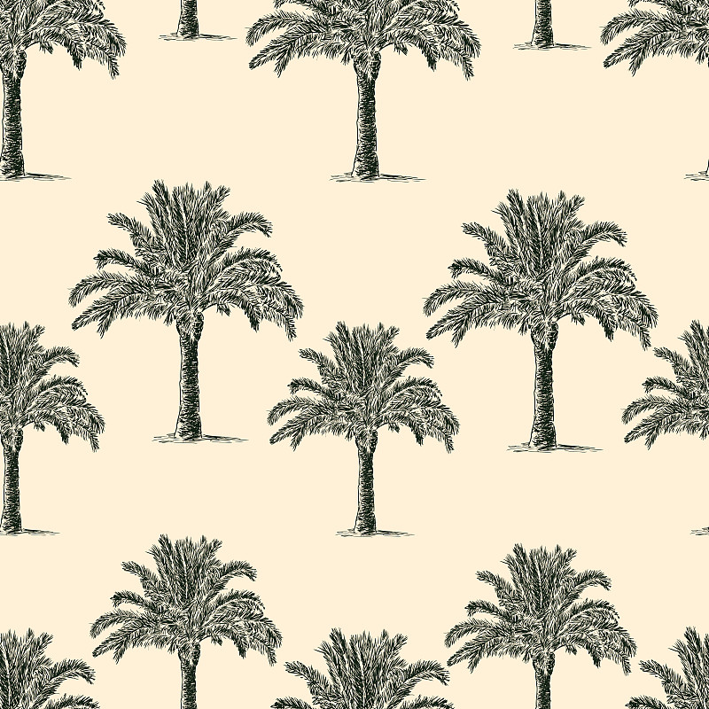 棕榈树,式样,度假胜地,无人,绘画插图,椰子树,热带雨林,四方连续纹样,方形画幅,海枣树