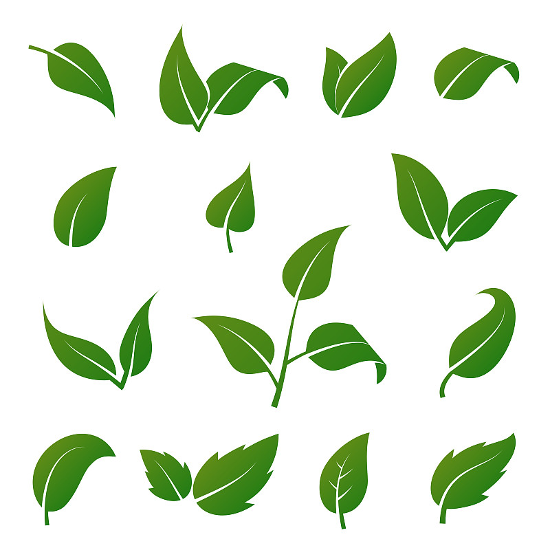 符号,植物,叶子,矢量,绿色,环境,计算机图标,白色背景,分离着色,布置