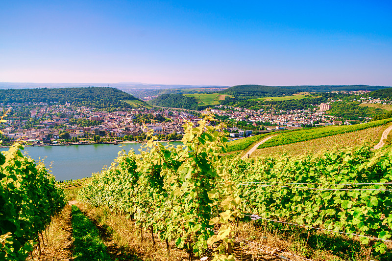 地形,山谷,风景,河流,莱茵高,莱茵河,在上面,自然,旅游目的地,水平画幅