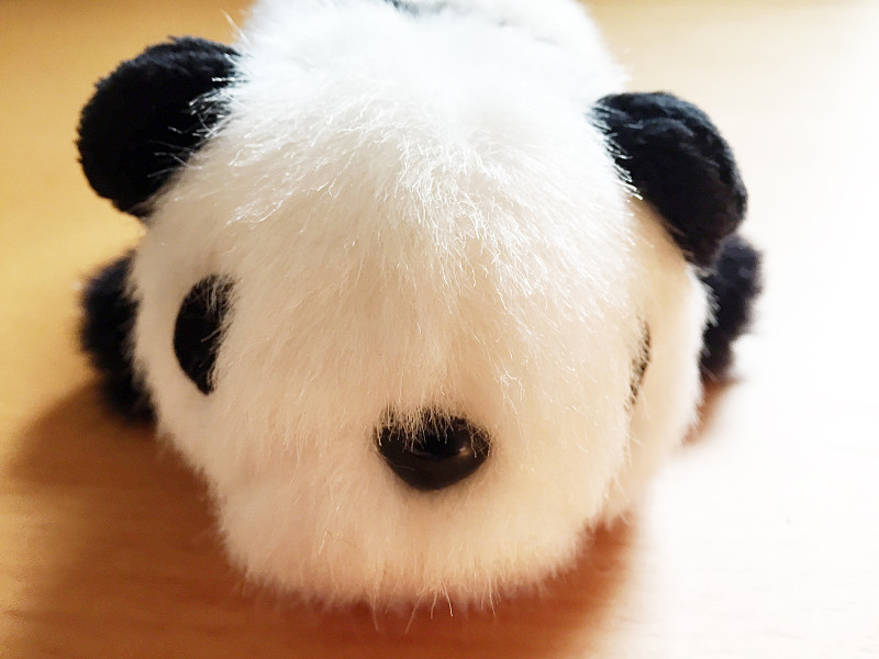 熊猫,毛绒玩具,水平画幅,可爱的,无人,日本,可爱,熊,黑色