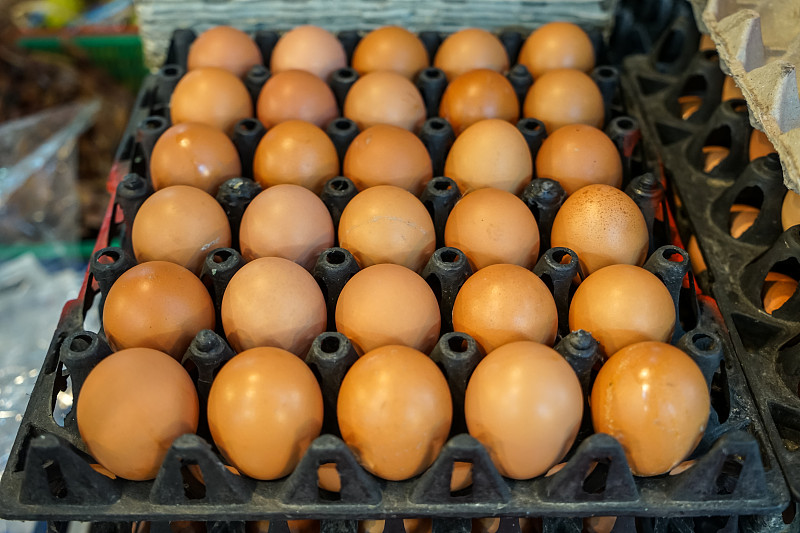 褐色,充满的,鸡,蛋,餐盘,日光,超级市场,选择对焦,贩卖,叠