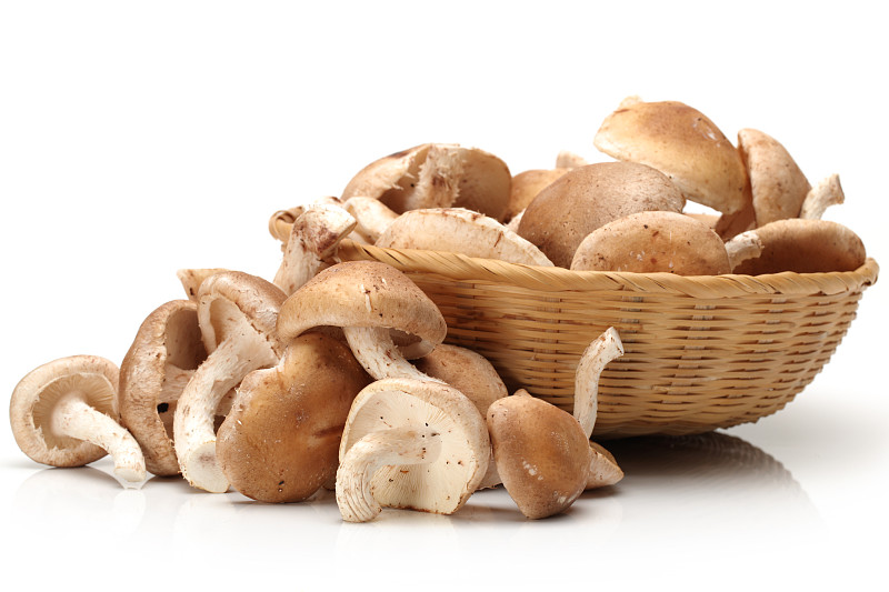 香菇,白色背景,分离着色,褐色,水平画幅,素食,无人,有机食品,篮子,金针菇