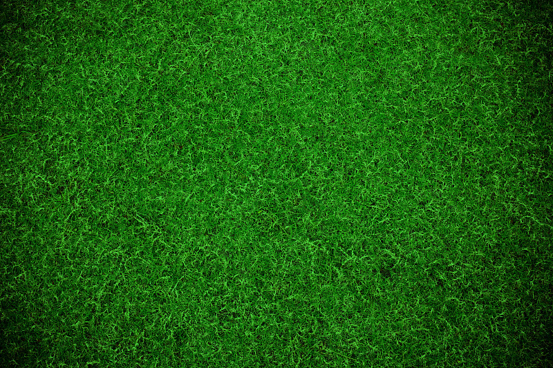 纹理效果,草,绿色,背景,留白,公园,草原,美式橄榄球场,水平画幅