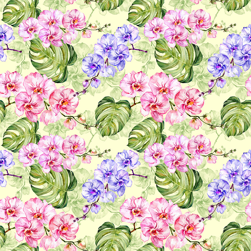 兰花,干酪藤,四方连续纹样,叶子,水彩画颜料,轮廓,多色的,轻的,绿色背景,花