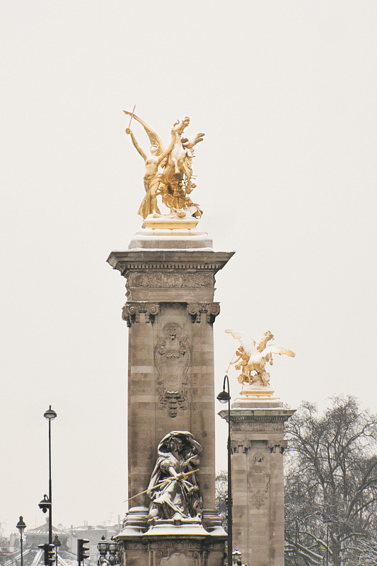 巴黎,雪,在下面,协和广场,亚历山大三世桥,落地灯,塞纳河,涂层,雕塑,垂直画幅