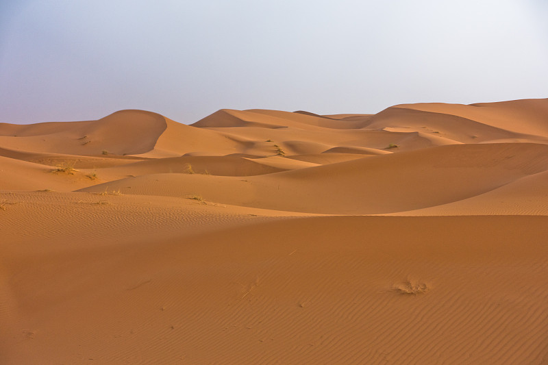早晨,沙丘,摩洛哥,撒哈拉沙漠,erg,chebbi,dunes,天空,水平画幅,山,沙子,莫鲁加