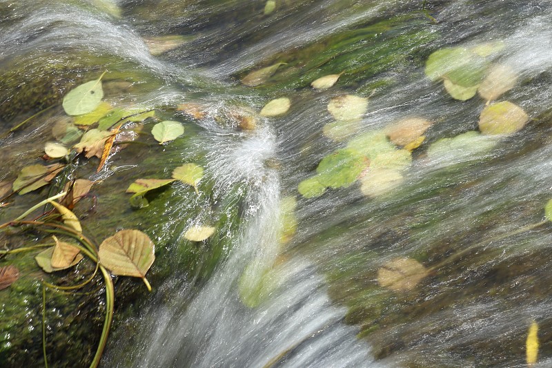 河流,叶子,岩石,平滑的,在上面,半空中,水,化学元素周期表,褐色,水平画幅