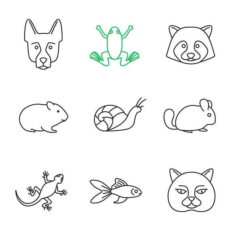 宠物,计算机图标,南美栗鼠猫,豚鼠,火蜥蜴,南美栗鼠,仓鼠,蟾蜍,浣熊,金鱼
