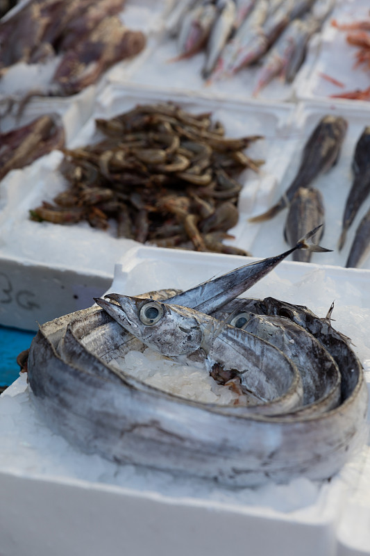 清新,鱼类,裸露狂,生食,虾蛄,竹荚鱼类,阿方索十三世,鱼贩,酥炸鱼,螳螂