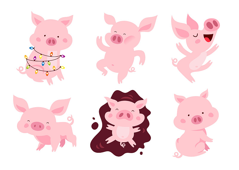 2019,猪,符号,可爱的,舞台,小猪,水坑,尾巴,动物,花环