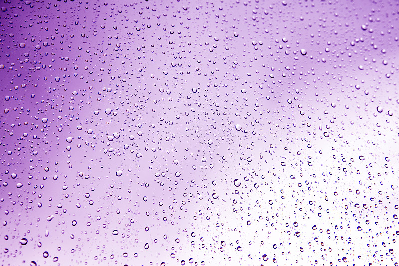 紫雨鼠尾草,自然,水平画幅,无人,绘画插图,抽象,水滴,华丽的,液体,雨