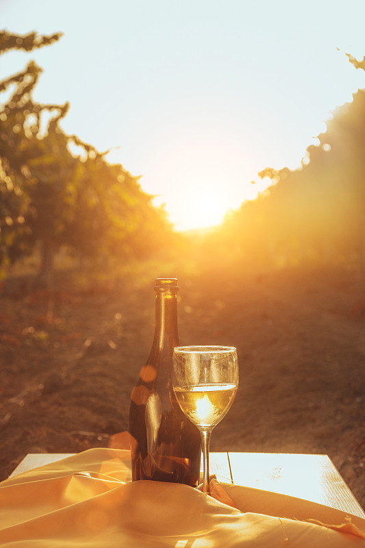 瓶子,葡萄园,桌子,秋天,玻璃杯,时间,农作物,木制,白葡萄酒,日落